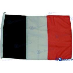 BANDERA IRLANDA  30X45