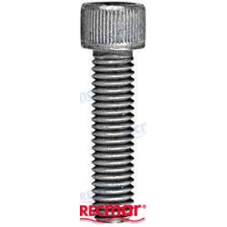 TORNILLO ANODO COLA