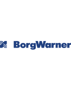 BorgWarner Parts